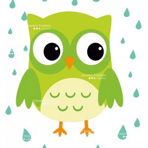 TABLOU pentru copii – bufnița verde